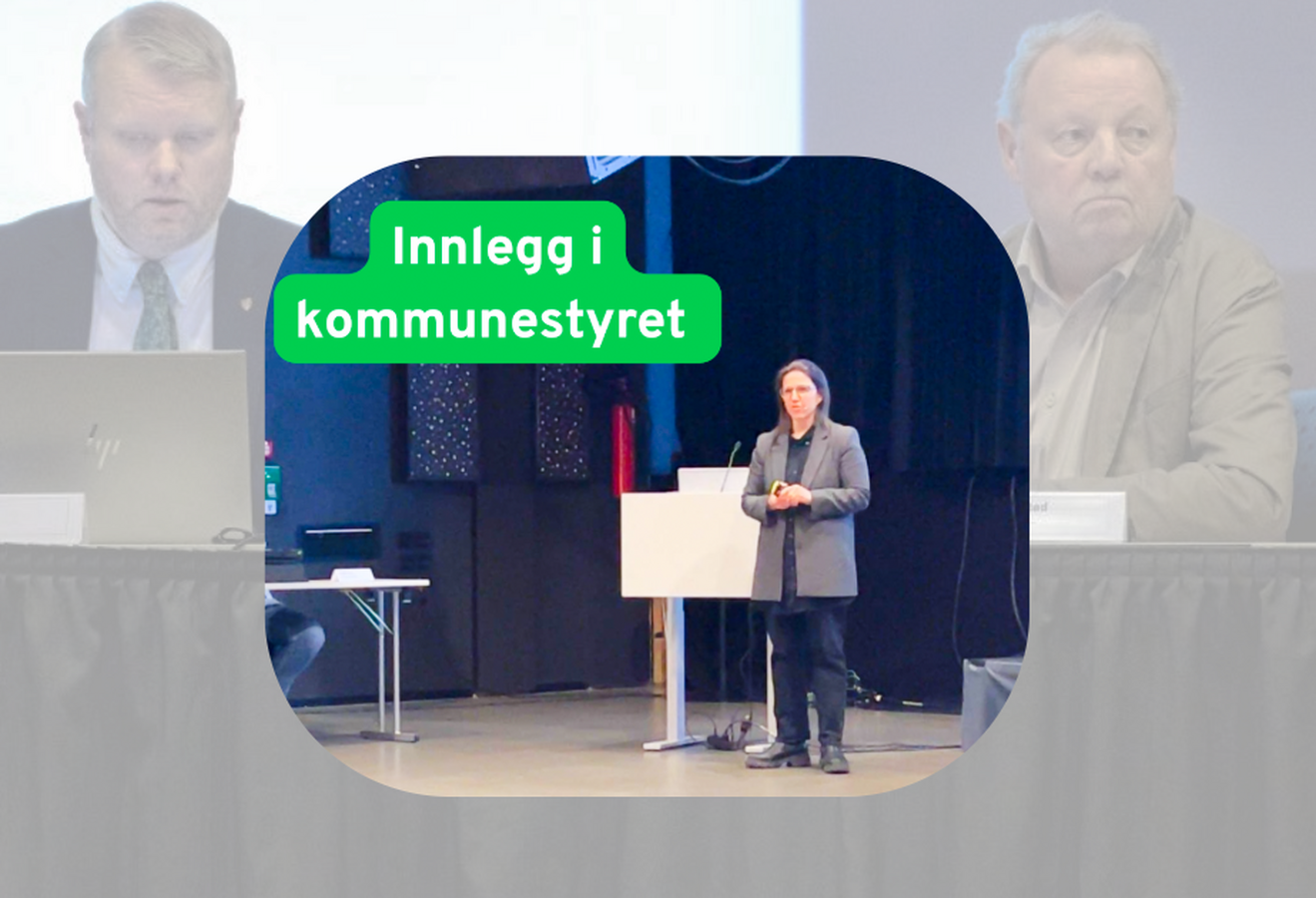 Marte Karoline Sollien i kommunestyret
